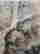 item-130975056=3