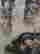 item-130975056=5