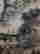 item-130975056=6