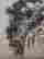 item-130975056=7