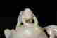 item-130975089=6