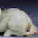 item-130975128=5