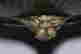 item-130975282=5