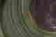 item-130975282=7