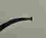 item-130975305=3