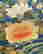 item-134223709=4