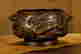 item-134303921=7