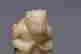 item-137768220=5