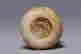item-137768220=7