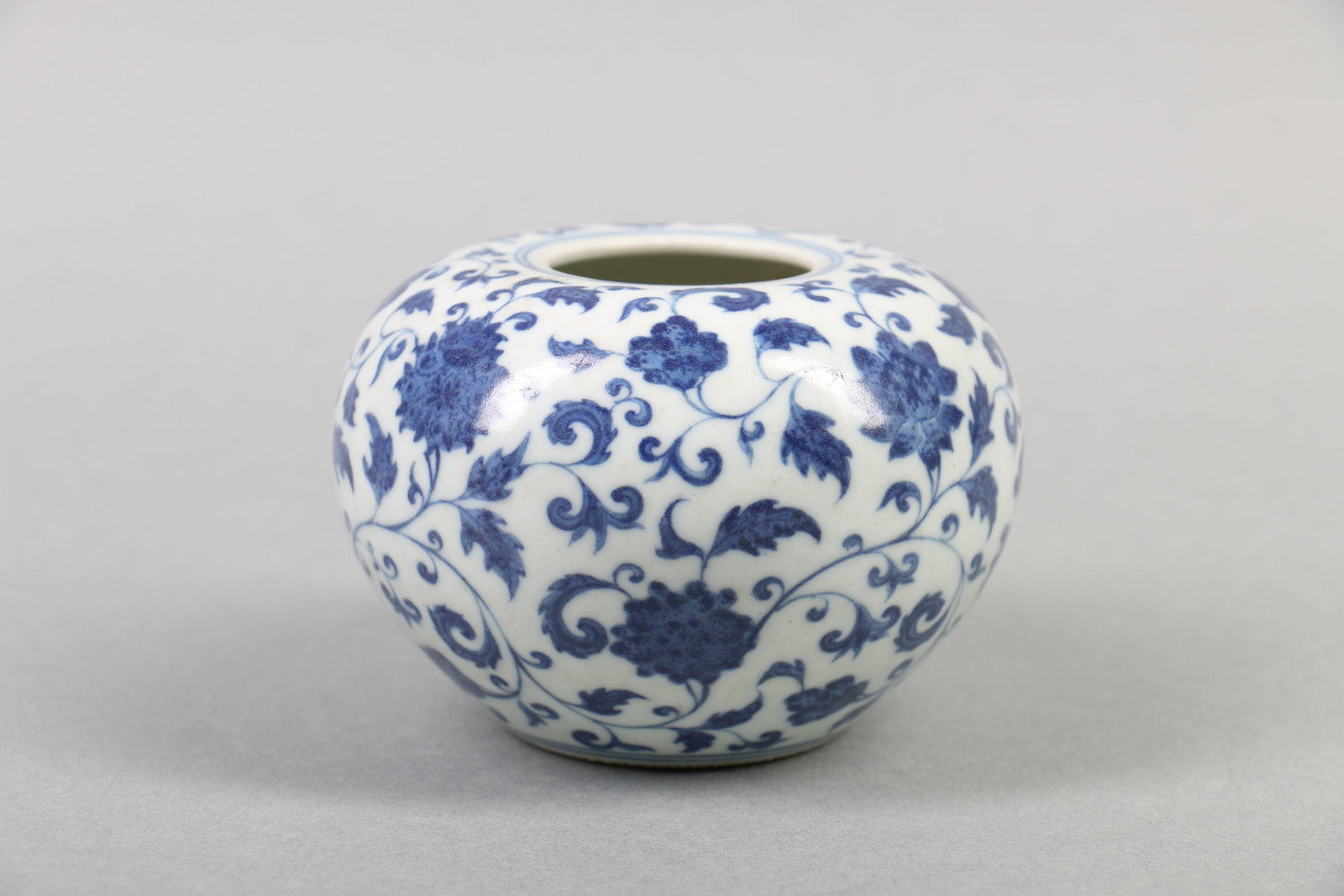 A Chinese Blue and White Porcelain Water Pot (1 of 5)
