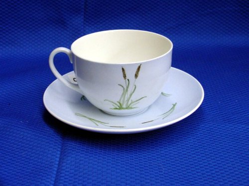 SHELLEY CUP & SAUCER