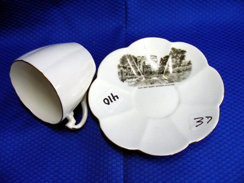 SHELLEY CUP & SAUCER