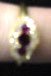 18 k Gold Ladies Ruby and Diamond Ring