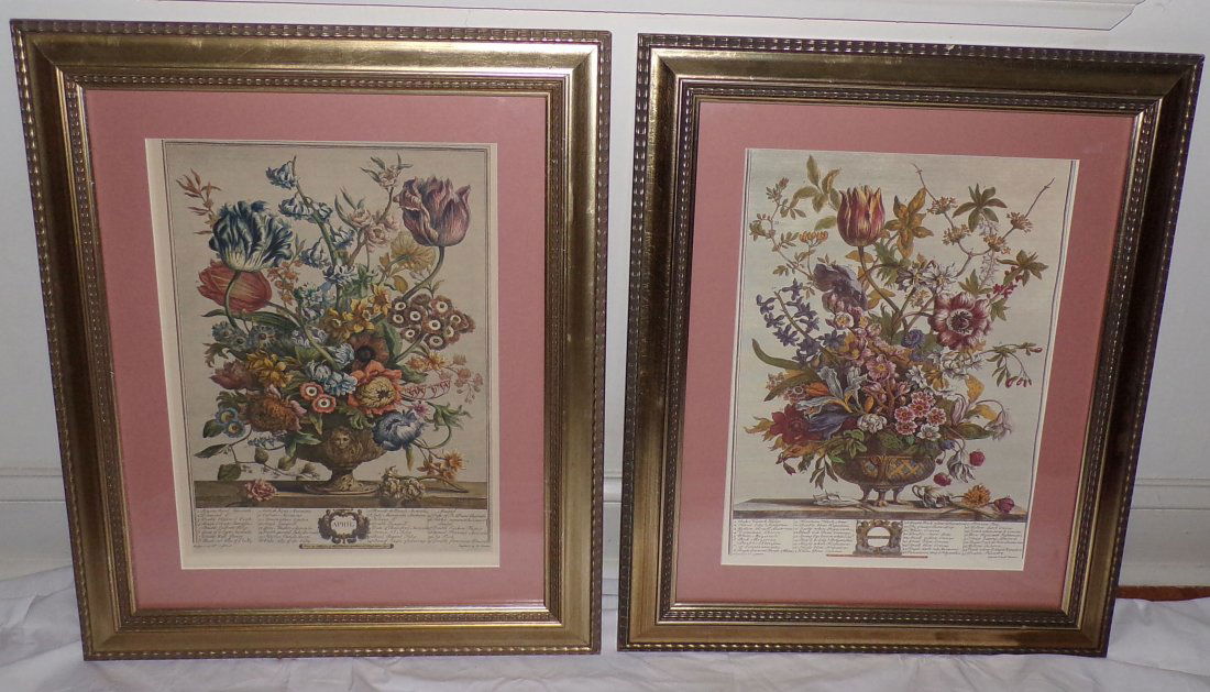 Pair of Reproduction Botanical Prints (1 of 3)