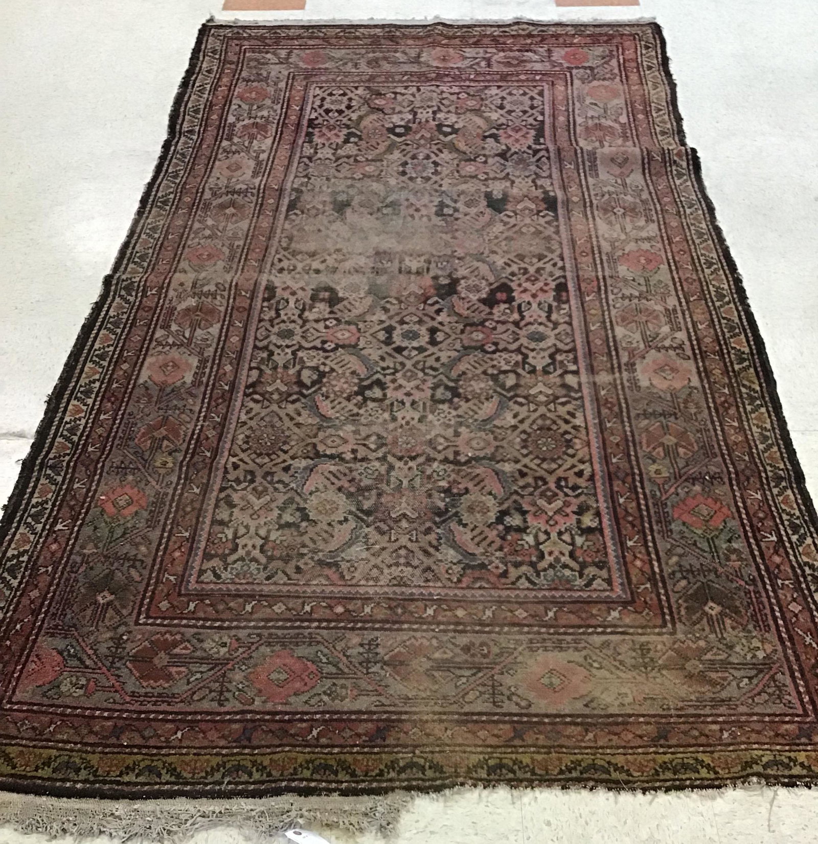 Hamadam Area Rug: Hamadam rug in browns