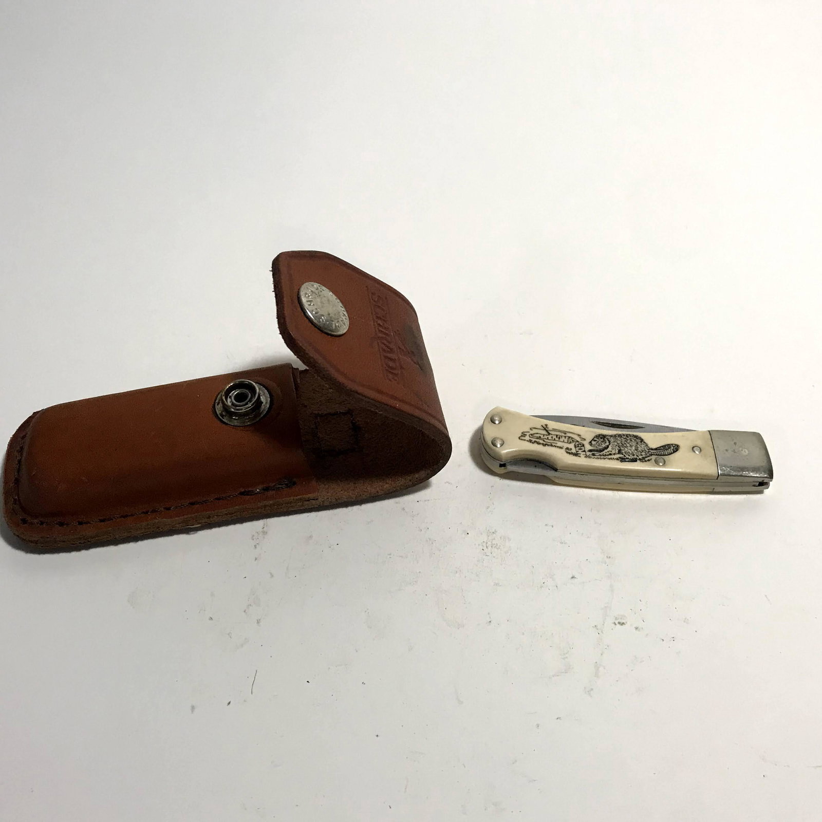 SCHRADE USA Scrimshaw Beaver Knife 513SC: SCHRADE USA Scrimshaw Beaver Knife 513SC NEW with Sheath Please view all photos as they are part of the description and condition of this Item, Feel free to contact me with questions or picture reques