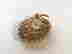 item-108761514=4