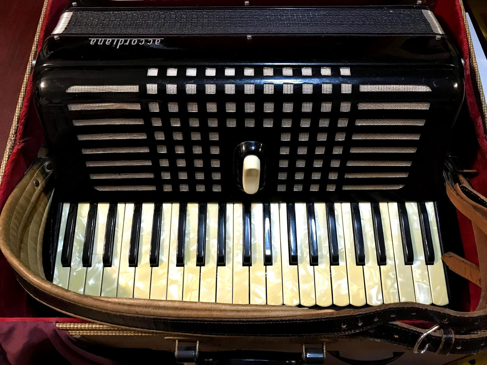 Accordiana accordion 2024