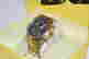 item-125348621=2
