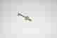 item-129098467=2