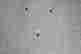 item-129098629=2