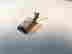 item-129522931=2