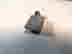 item-129522931=4