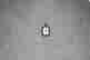 item-131380569=2