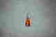 item-131381113=2