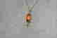 item-131381351=2