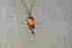 item-131381351=3