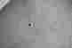 item-131523750=3