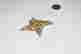 item-131952544=2