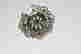 item-131952610=3
