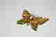 item-131952647=4