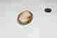 item-131952694=2