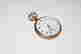 item-131952861=3