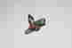 item-131952863=2