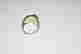 item-131953000=5