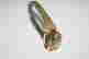 item-131953036=2