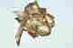 item-131953373=6