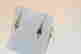 item-133909105=2