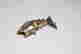 item-134299305=3