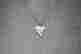 item-134299402=3