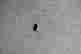 item-134299702=3