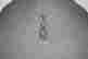 item-134299719=2