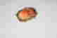 item-136680310=6