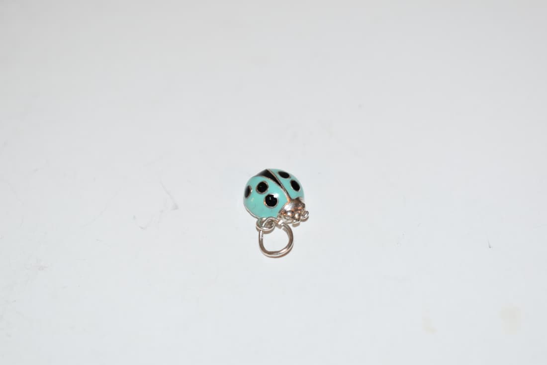Tiffany blue shop ladybug charm