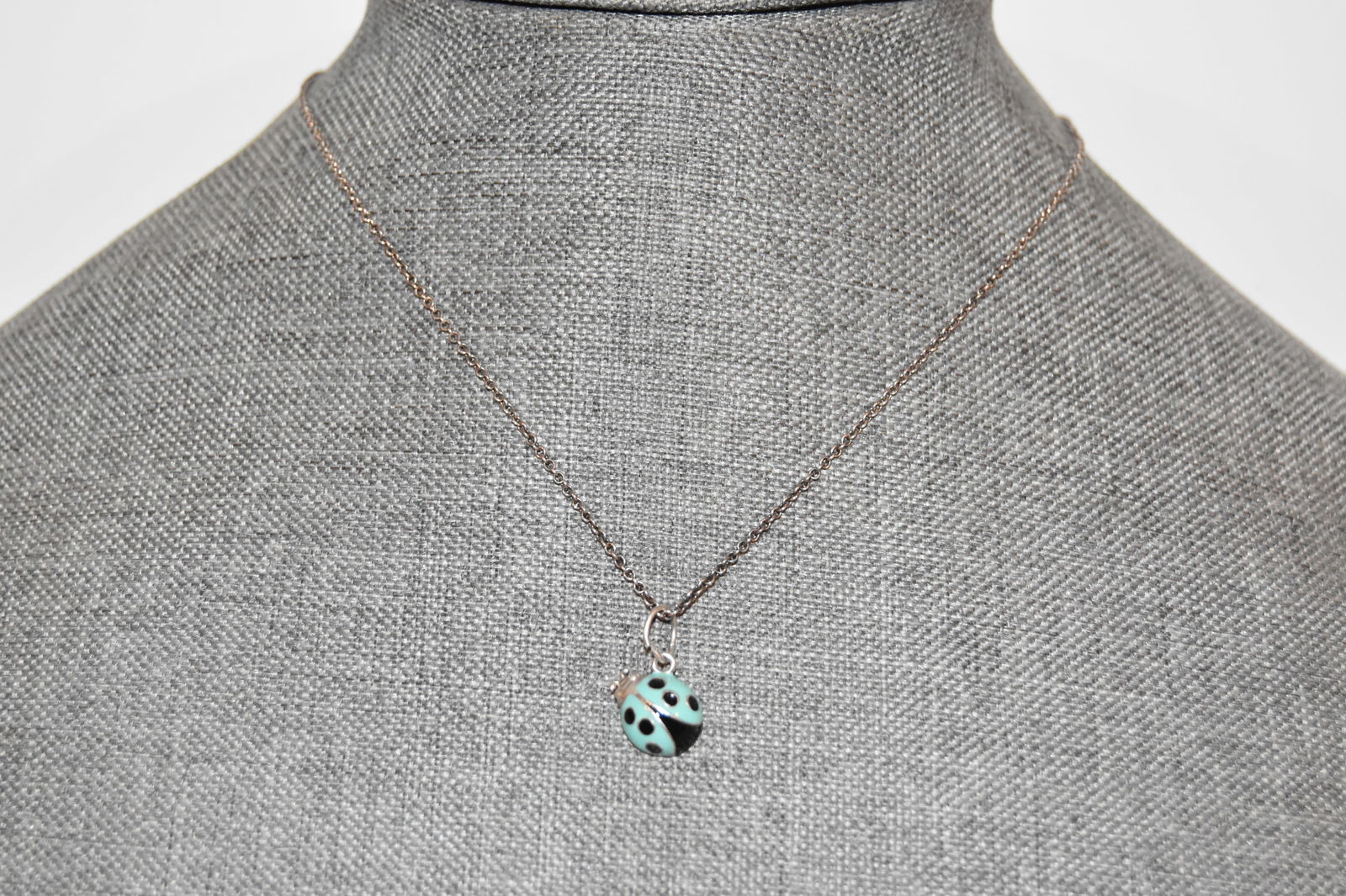 Tiffany & Co Blue Enamel Lady Bug Charm and necklace (1 of 5)