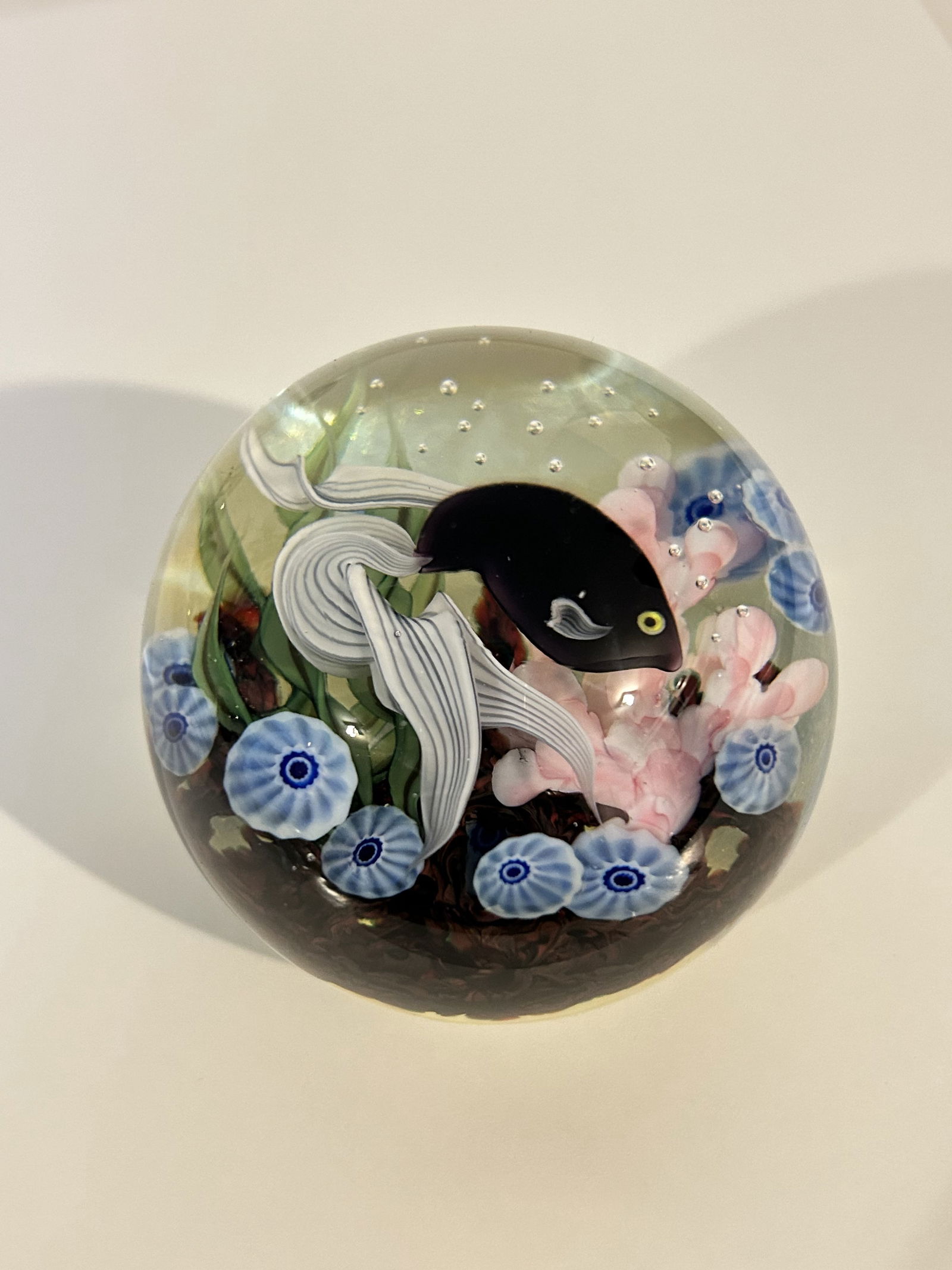 Signed Daniel Salazar Art Glass Under Sea Fish Paperweight (1 of 5)